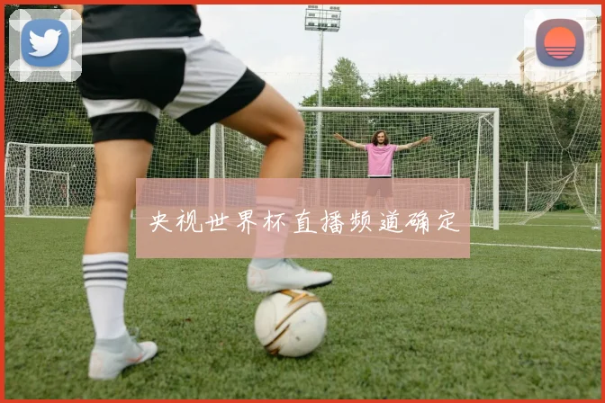 央视世界杯直播频道确定