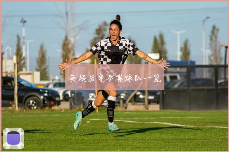 英超历年参赛球队一览