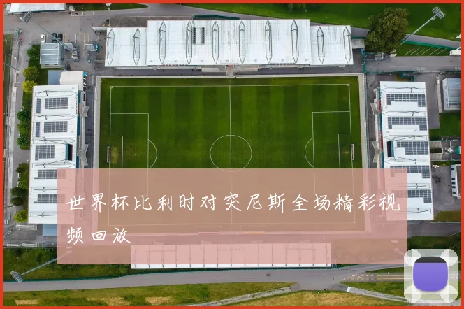 世界杯比利时对突尼斯全场精彩视频回放