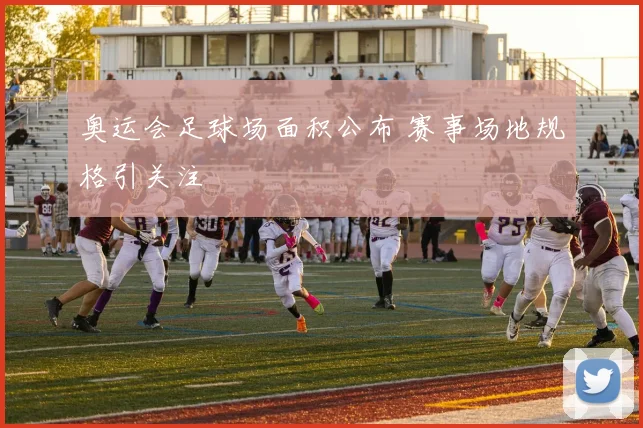 奥运会足球场面积公布 赛事场地规格引关注