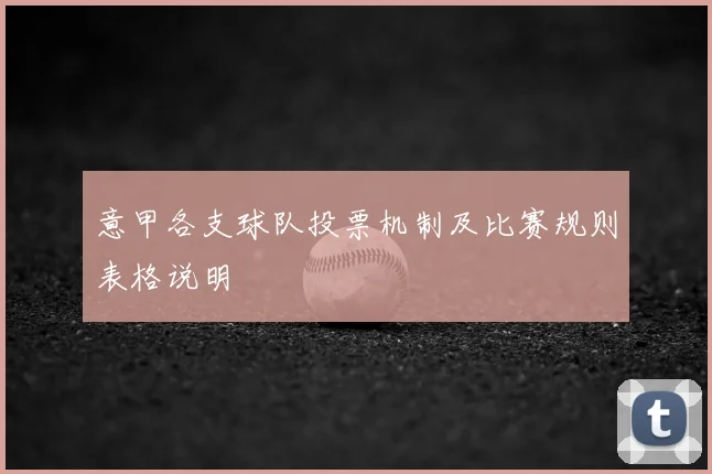 意甲各支球队投票机制及比赛规则表格说明